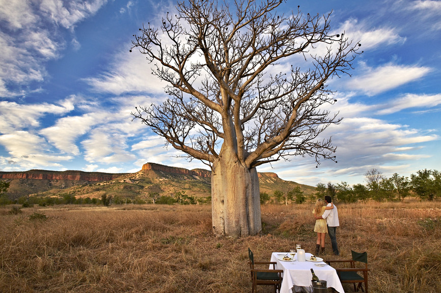 Boab-Dining, The Kimberley, WA