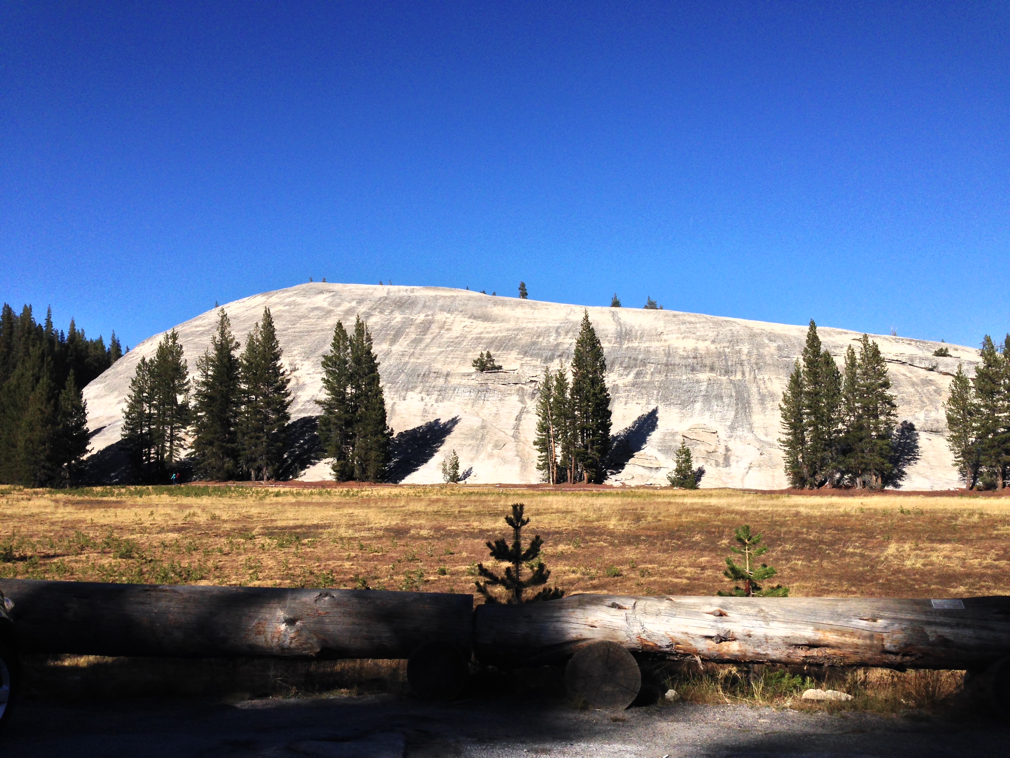 Yosemite - California - Alida Travel