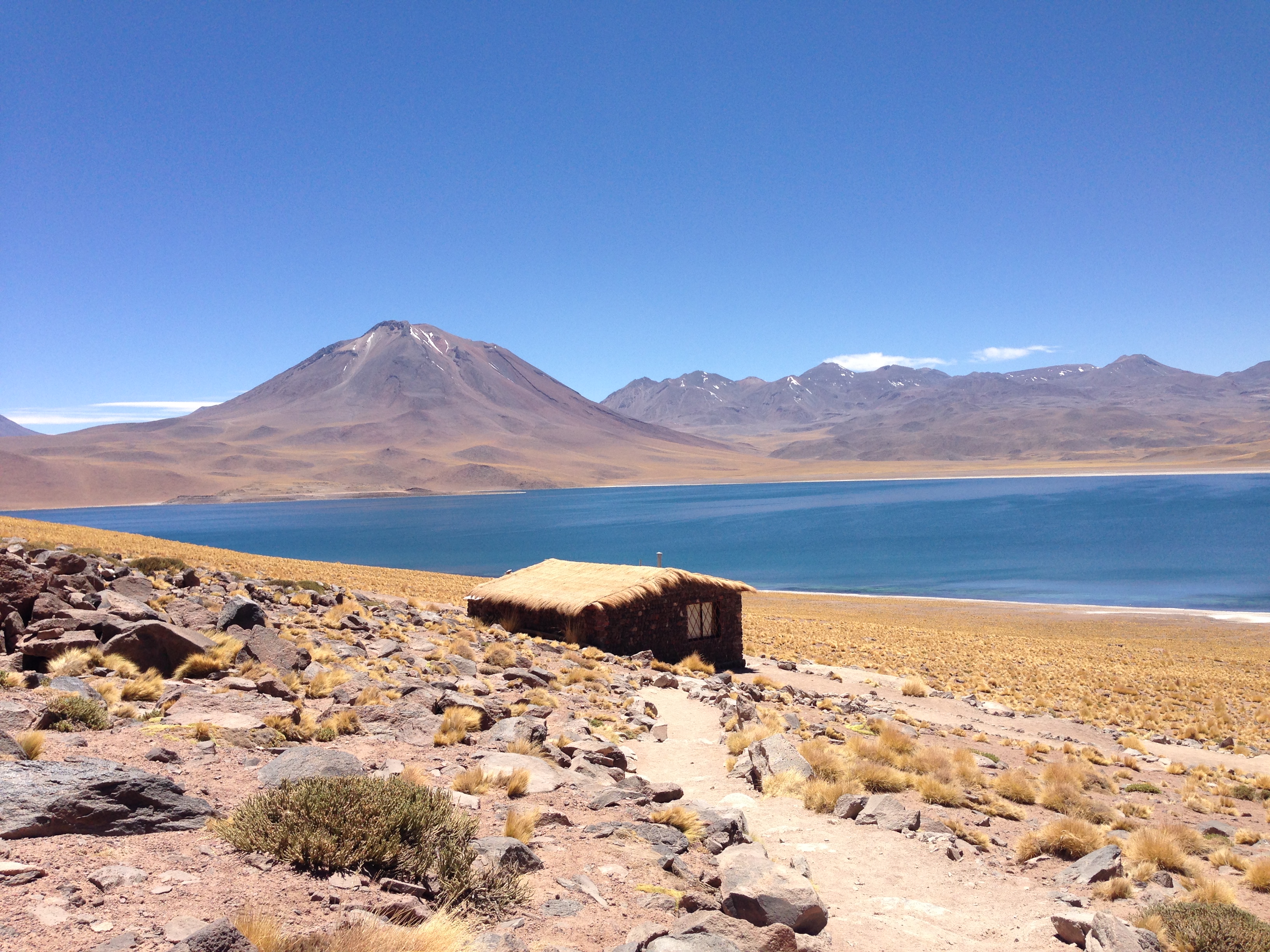 Cile - Laguna Miscanti - Alida Travel