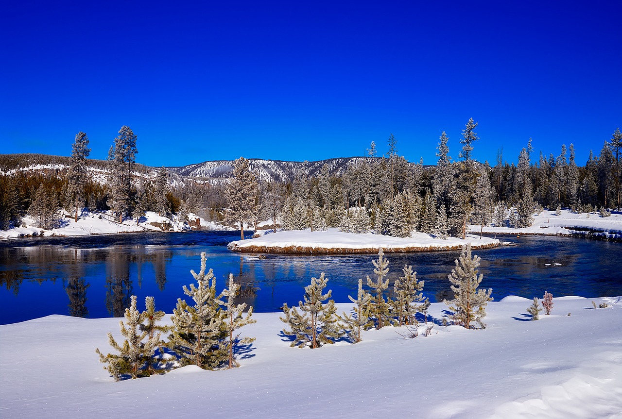 Usa esperienze invernali yellowstone