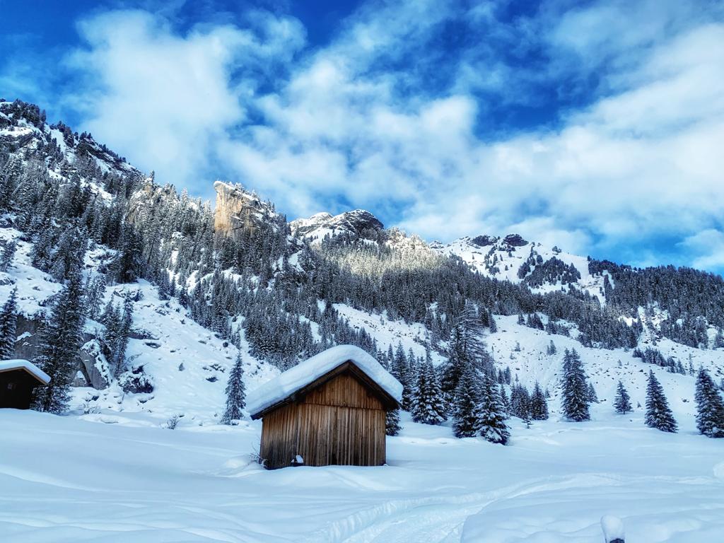 dolomiti e val di fassa in inverno, ciaspolate sulla neve. in viaggio con alida travel